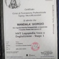 Ingrandire l'immagine: certificate 4