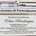 Ingrandire l'immagine: certificate 13
