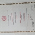 Ingrandire l'immagine: certificate 2