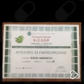 Ingrandire l'immagine: certificate 3