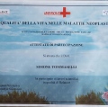 Ingrandire l'immagine: certificate 7