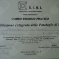 Ingrandire l'immagine: certificate 64