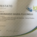 Ingrandire l'immagine: certificate 4