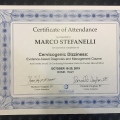 Ingrandire l'immagine: certificate 7