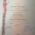 Ingrandire l'immagine: certificate 3