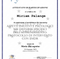 Ingrandire l'immagine: certificate 5