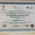 Ingrandire l'immagine: certificate 3