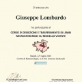 Ingrandire l'immagine: certificate 4