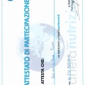 Ingrandire l'immagine: certificate 11