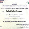 Ingrandire l'immagine: certificate 9