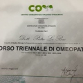 Ingrandire l'immagine: certificate 4
