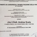 Ingrandire l'immagine: certificate 21