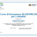 Ingrandire l'immagine: certificate 1