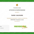 Ingrandire l'immagine: certificate 13