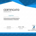 Ingrandire l'immagine: certificate 7
