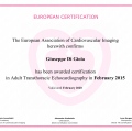 Ingrandire l'immagine: certificate 3