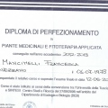 Ingrandire l'immagine: certificate 5
