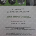 Ingrandire l'immagine: certificate 6