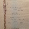 Ingrandire l'immagine: certificate 12