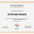 Ingrandire l'immagine: certificate 8