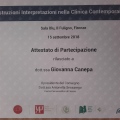 Ingrandire l'immagine: certificate 21