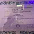 Ingrandire l'immagine: certificate 6