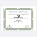 Ingrandire l'immagine: certificate 1