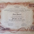 Ingrandire l'immagine: certificate 1
