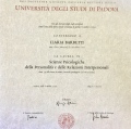 Ingrandire l'immagine: certificate 1