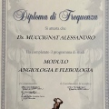 Ingrandire l'immagine: certificate 1