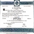 Ingrandire l'immagine: certificate 2