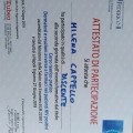 Ingrandire l'immagine: certificate 11