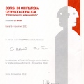 Ingrandire l'immagine: certificate 7