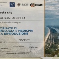 Ingrandire l'immagine: certificate 6