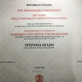 Ingrandire l'immagine: certificate 6