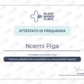 Ingrandire l'immagine: certificate 4