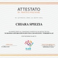 Ingrandire l'immagine: certificate 5