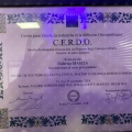Ingrandire l'immagine: certificate 7