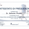 Ingrandire l'immagine: certificate 4