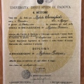 Ingrandire l'immagine: certificate 2