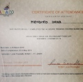 Ingrandire l'immagine: certificate 2