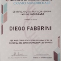 Ingrandire l'immagine: certificate 13