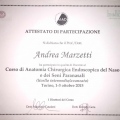 Ingrandire l'immagine: certificate 17