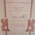 Ingrandire l'immagine: certificate 20
