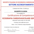 Ingrandire l'immagine: certificate 5