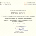 Ingrandire l'immagine: certificate 4