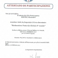 Ingrandire l'immagine: certificate 11
