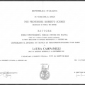 Ingrandire l'immagine: certificate 2