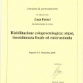 Ingrandire l'immagine: certificate 12