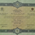 Ingrandire l'immagine: certificate 7